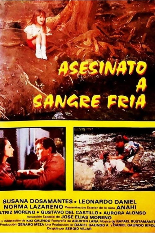Asesinato a sangre fría (1990) poster