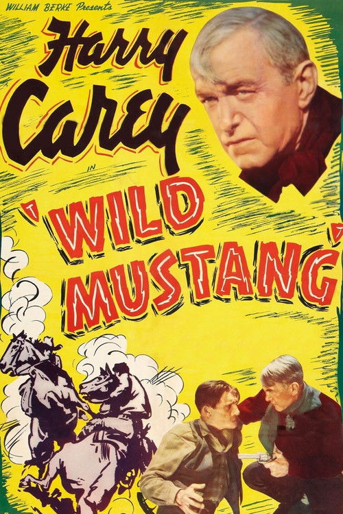 Wild Mustang (1935) poster