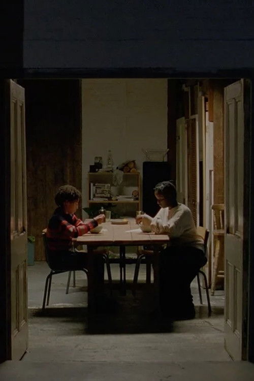 Fourteen Fractures (2020) poster