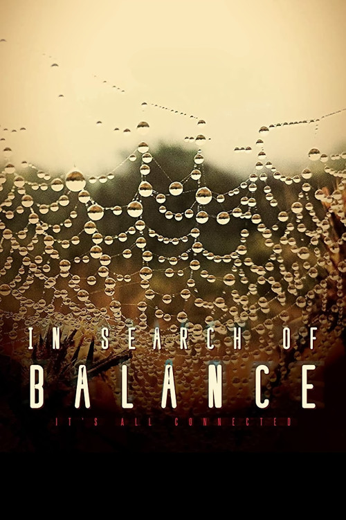 In Search of Balance (2016) poster
