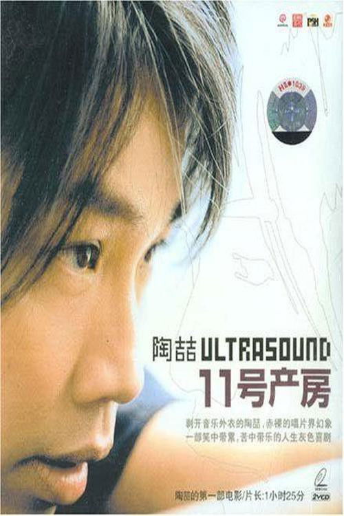 Delivery Room 11 (2003) poster