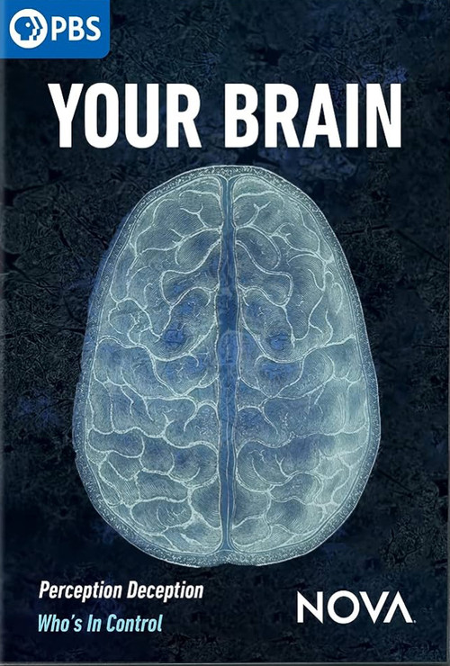 Your Brain (2023) poster
