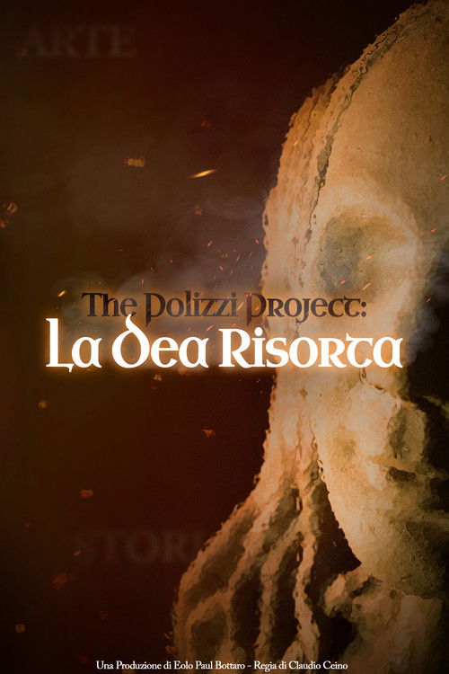 The Polizzi Project (2020) poster