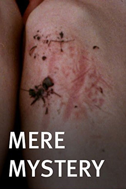 Mere Mystery (2010) poster