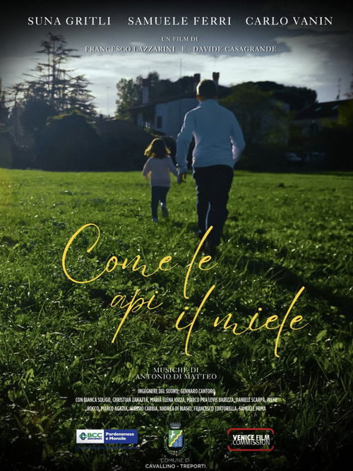 Come le api il miele (2024) poster