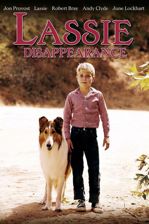 Lassie: Disappearance (1964) poster