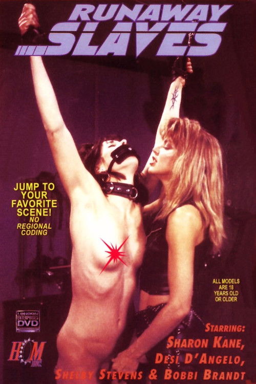 Runaway Slaves (1994) poster