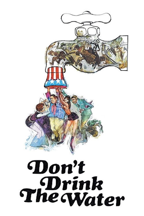 Don't Drink the Water (1969) poster