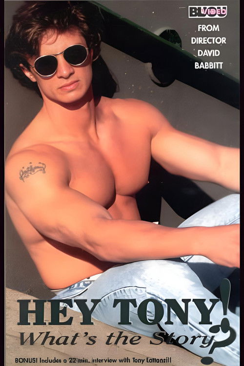 Hey Tony! What's the Story? (1993) poster