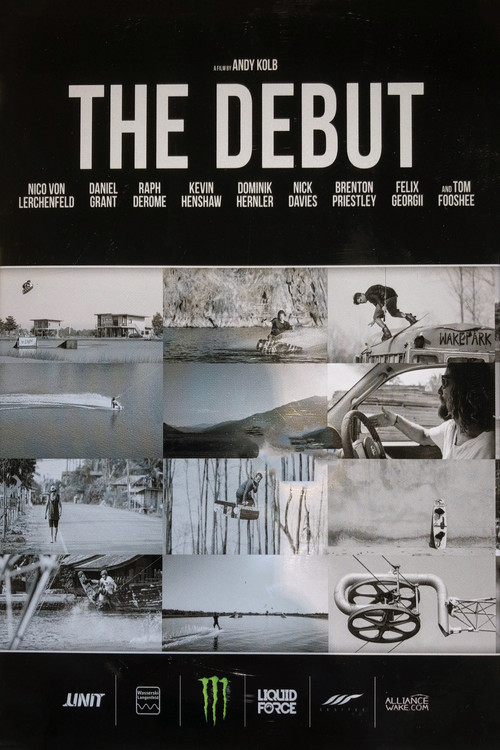 The Debut (2014) poster