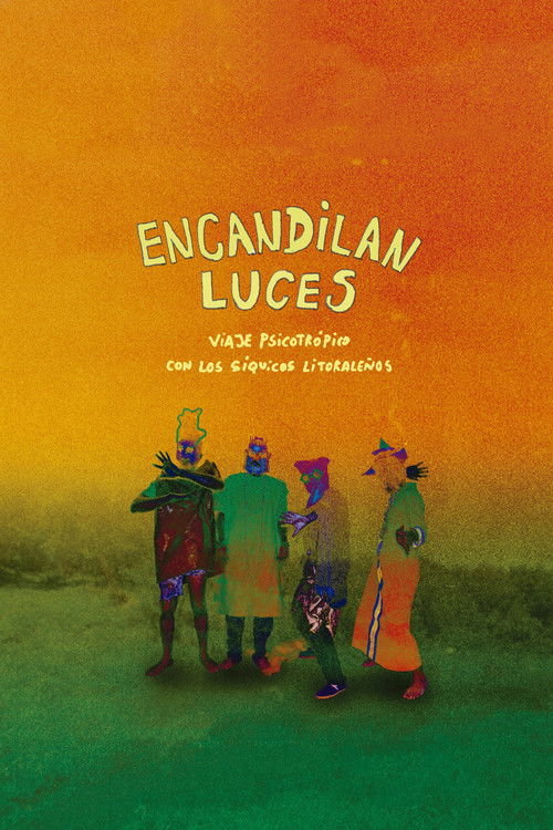 Encandilan luces (2019) poster