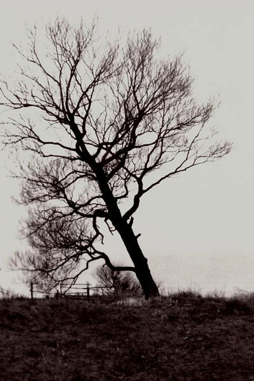 The Harrowed Coast (1992) poster