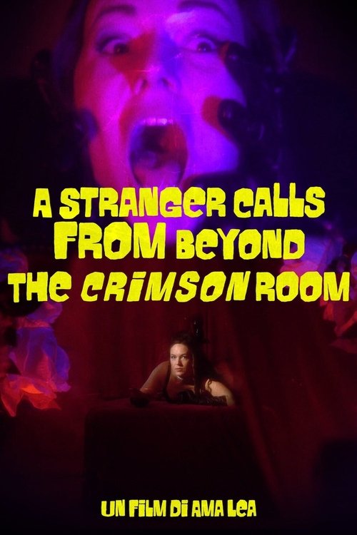 A Stranger Calls from Beyond the Crimson Room (2022) poster
