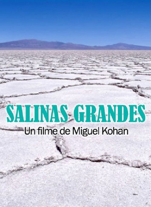 Salinas grandes (2014) poster