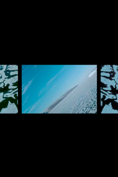 Polar Life (1967) poster