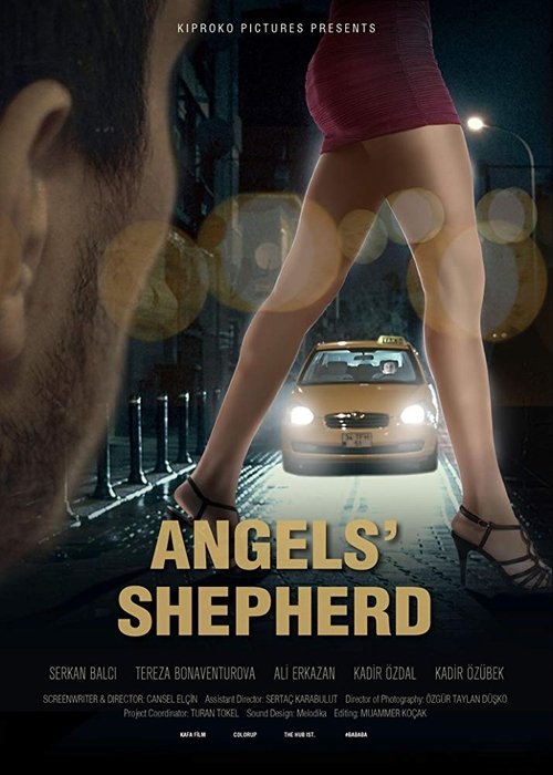 Angels'Shepherd (2016) poster
