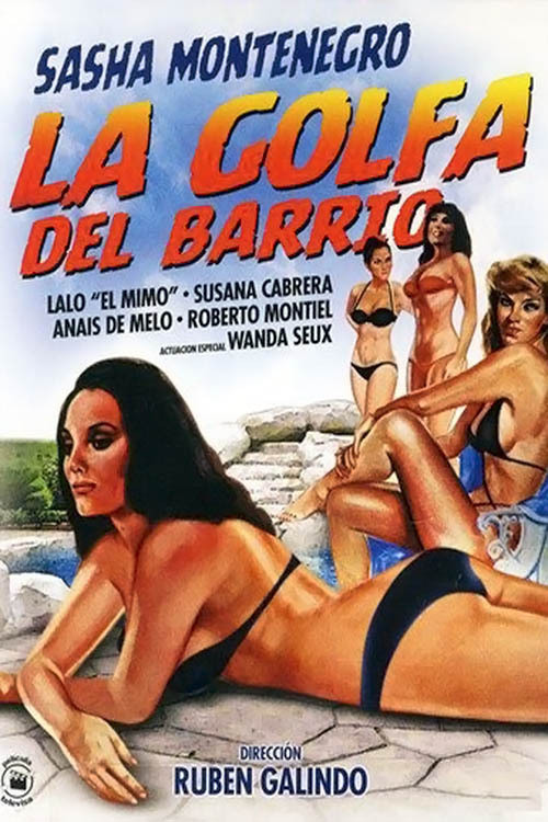 La golfa del barrio (1982) poster