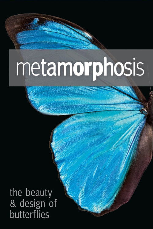 Metamorphosis: The Design and Beauty of Butterflies (2011) poster