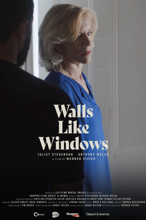 Walls Like Windows (2022) poster