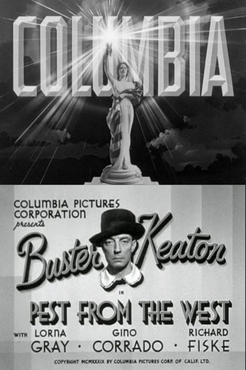 Pest from the West (1939) poster