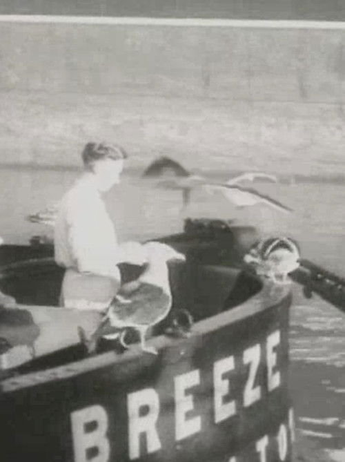 The Coaster (1948) poster