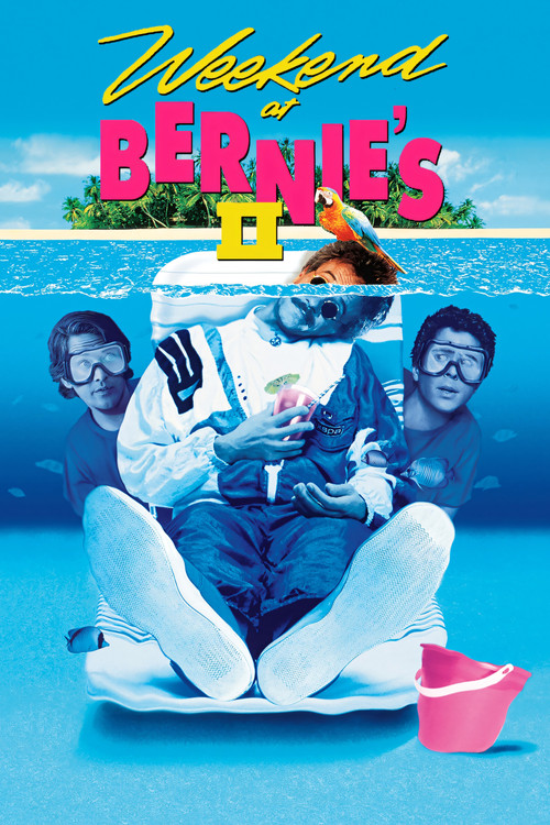 Çılgın Tatil 2 (1993) poster