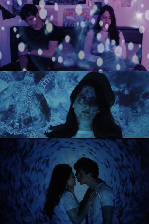 The Waves Will Always Kiss the Shore (2022) poster