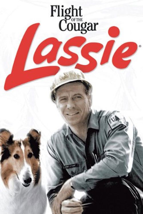 Lassie and the Flight of the Cougar (1967) poster