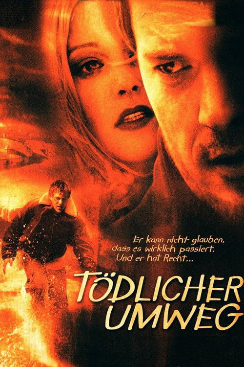 Deadly Diversion (2004) poster