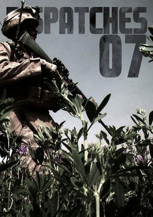 Big Noise Dispatches: Vol. 07 (2011) poster