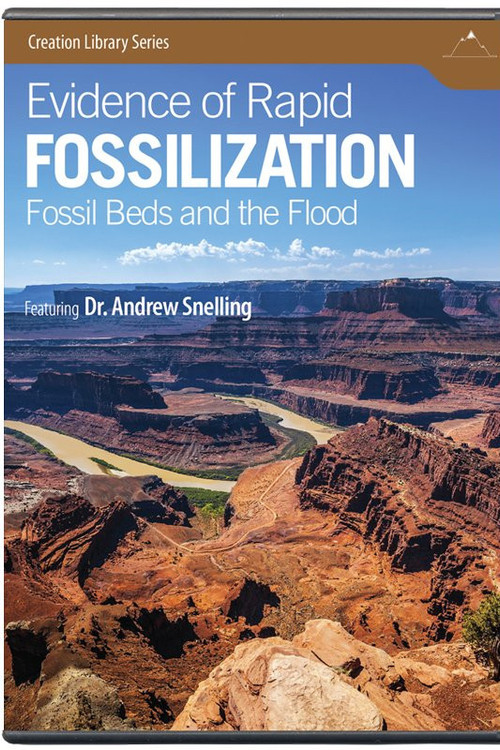 Evidence of Rapid Fossilization (2014) poster