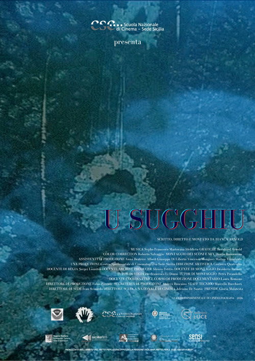 U Sugghiu (2026) poster