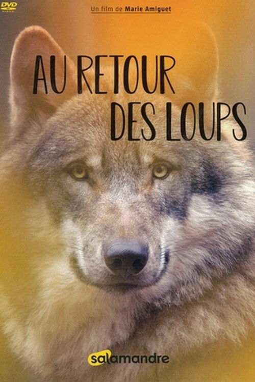 Au retour des loups (2020) poster