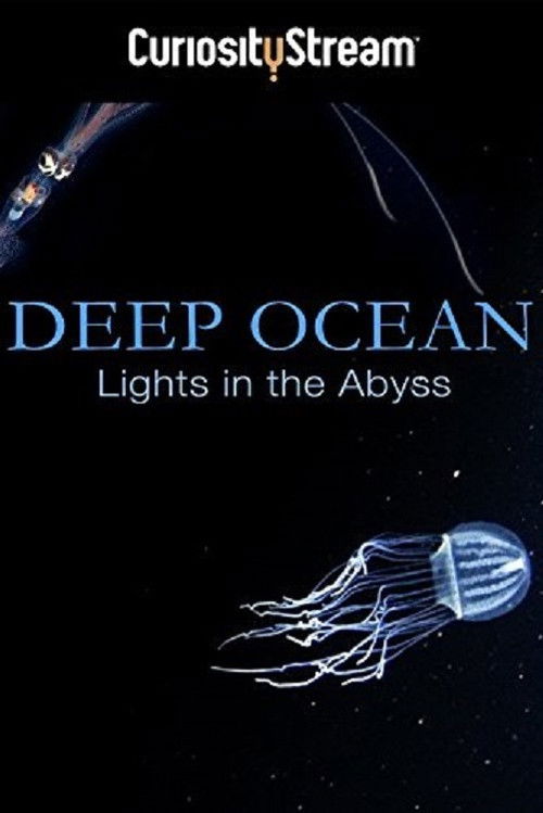 Deep Ocean: Lights in the Abyss (2016) poster