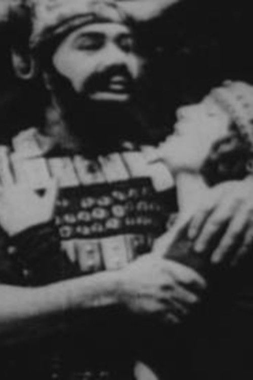 The Last King of Wales (1922) poster