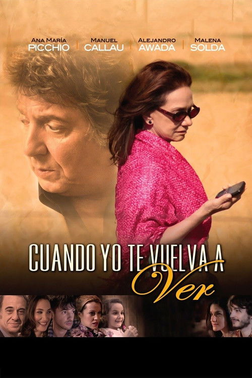 Cuando yo te vuelva a ver (2013) poster