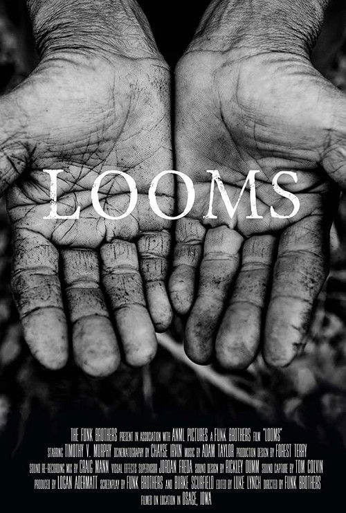 LOOMS (2014) poster