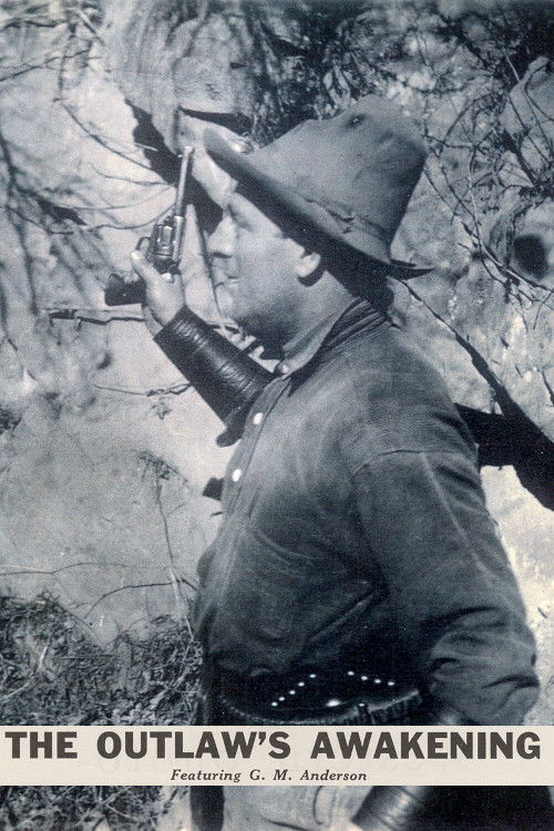 The Outlaw's Awakening (1915) poster