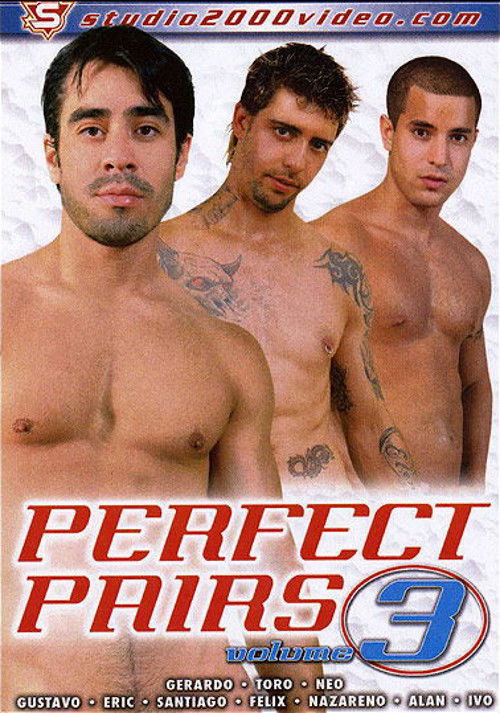 Perfect Pairs 3 (2008) poster