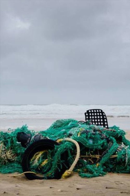 Second Nature (2018) poster