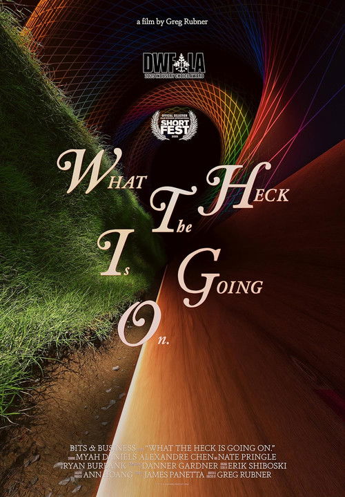 What the Heck Is Going On. (2025) poster