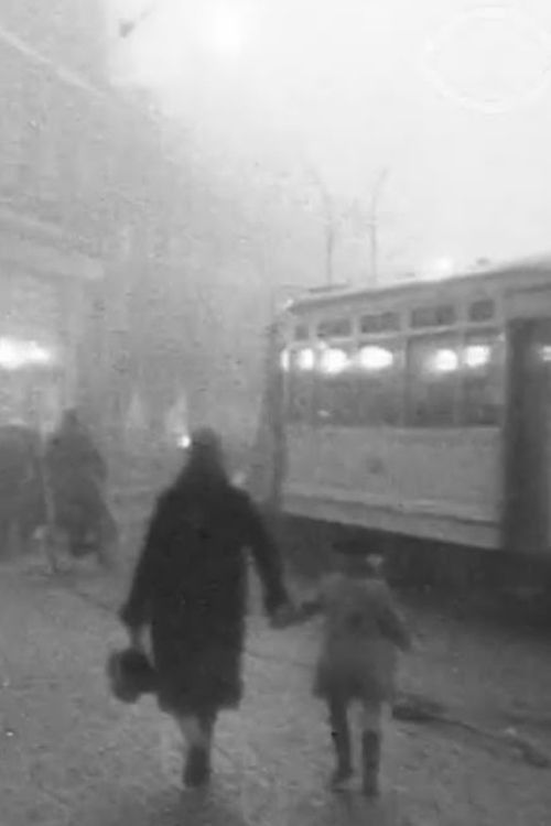 The Hague Electric Company (1929) poster