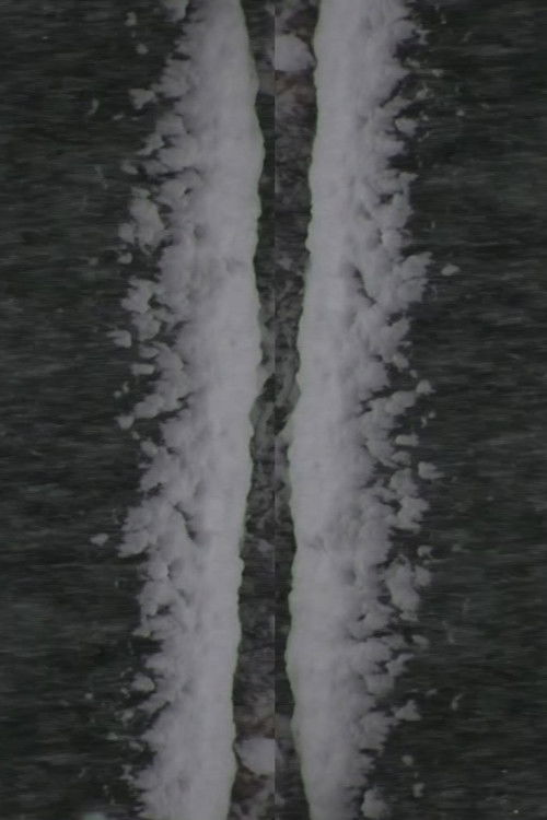 Snow Fall (2014) poster