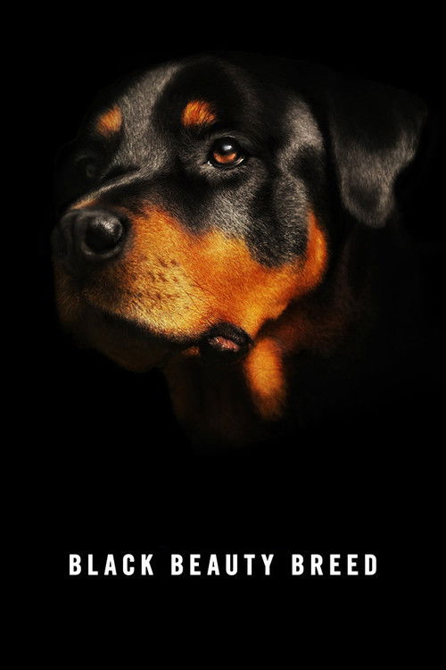 Black Beauty Breed (2014) poster