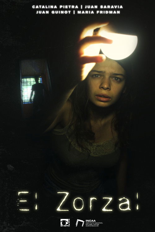 El zorzal (2025) poster