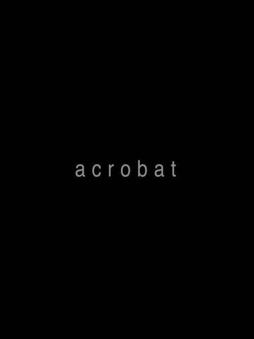 Acrobat (2012) poster