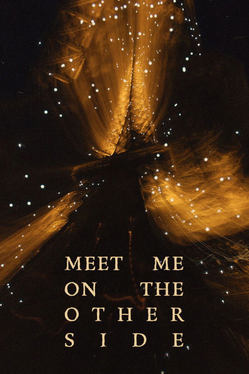 Meet Me on the Other Side (2024) poster