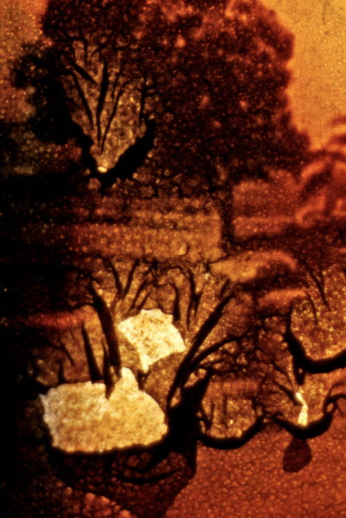 Stuttgart Filmwinter (1987) poster