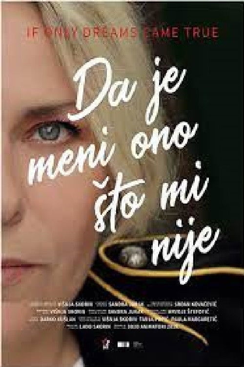 If Only Dreams Came True (2019) poster