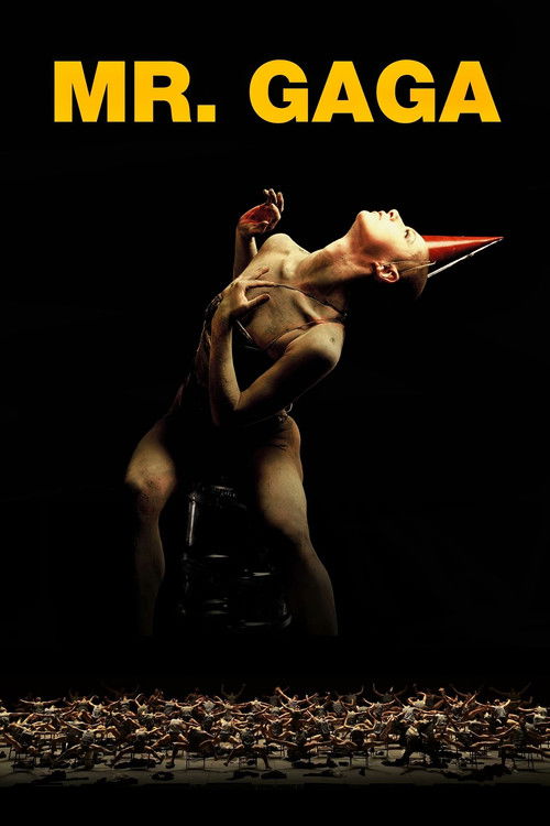 Mr. Gaga (2015) poster